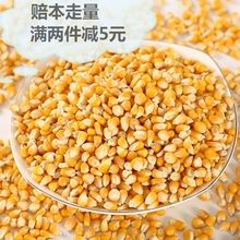 包邮 10斤 鸽粮玉米小粒高能量营养信鸽比赛玉米颗粒小鸽子饲料散装
