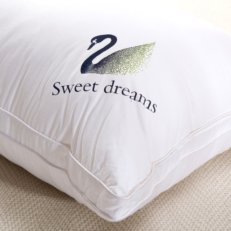 ������ȫ����ͷZT06