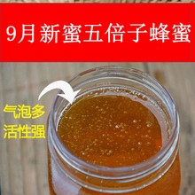 9月新采农家自产土蜂蜜五倍子蜜中药材蜜pk新西兰蜂蜜买3送1