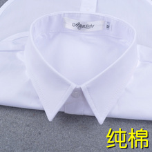 假领子打领带男女通用工作服免烫秋冬职业装 饰假衣领 高端纯棉衬衫