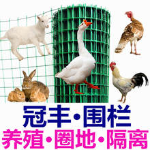 铁丝网围栏养殖网荷镭纪护栏户外养鸡隔离网钢丝网防护网格网围墙