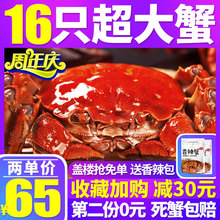 大闸蟹鲜活螃蟹鲜活大闸蟹海鲜 水产 鲜活新鲜六月黄特大蟹公母蟹