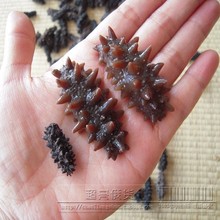 海参500头野生俄罗斯小海参干货 刺参 淡干海参 1g/只 50只起包邮