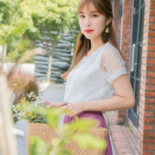 桔熊夏装仙气蕾丝网纱拼接背心透视短袖上衣女大码AB7279图片