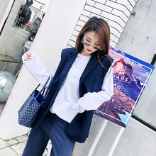 秋季马甲女装2018新款韩版修身潮时尚休闲中长款薄西装外套上衣图片