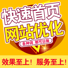 网站首页baidu收录优化搜狗360关键词快速照恢复谷歌推广