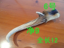 车挂件皮带钥匙扣包包 黄麂角大号麂子角黄猄角辟邪平安个性 包邮