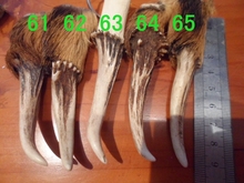 车挂皮带钥匙扣包包挂件 天然黄猄角麂子角辟邪平安可做刀柄个性