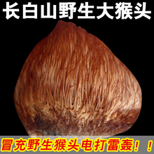 包邮 东北特产长白山野生猴头菇干货新货猴头菇猴头菌可打粉250克