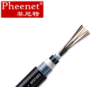 Pheenet菲尼特 8芯单模地埋铠装架空管道GYTA/S-8B1 9.0外径