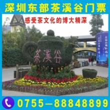 深圳东部华侨城门票 茶溪谷门票 大峡谷 特惠