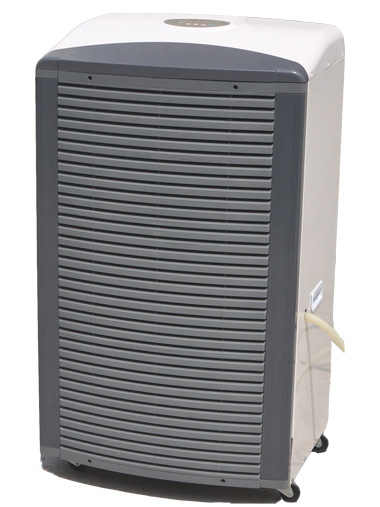 �������ʪ����ʪ��