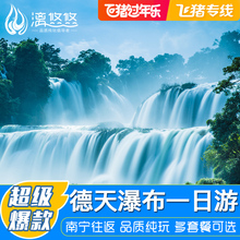 广西旅游南宁纯玩一日游德天瀑布1日游明仕田园南宁起止 飞猪专线