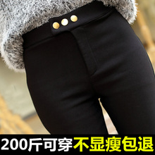 休闲小脚长裤 胖子女裤 女装 显瘦打底裤 200斤胖mm夏秋装 加肥加大码