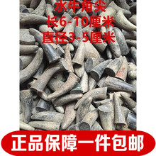 水牛角 10CM 长6 30元 天然黑水牛角原料 水牛角原料