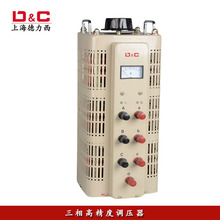 三相380V调压器 500V可调变压器9KW 输出0 9KVA 上海德力西TSGC2
