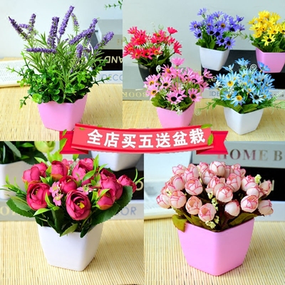 盆栽摆设客厅旗舰店网址