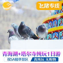 飞猪专线青海湖塔尔寺一日游青海旅游西宁纯玩无购物拼车游含门票