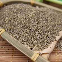朱碌科 东北有机黑小米250g 朝阳旱地特产黑微米 农家五谷杂粮