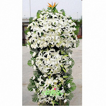丧事玉树藏族囊谦县曲麻莱县称多县鲜花速递同城花店