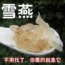 天然天山雪燕窝 堪比燕窝 雪燕
