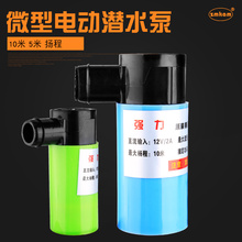 小水泵微型12V抽水机家用迷你自吸泵潜水泵电动水钻开槽机供水泵