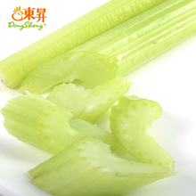 600g 旱芹菜 无公害西芹 广州蔬菜新鲜配送 西洋芹菜 东升农场