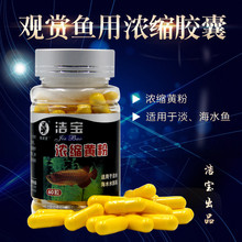 浓缩黄粉胶囊 淡海水族箱防护抑制日常用常备 观赏鱼用品 洁宝