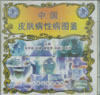 ROM 人民卫生9787980009520 光盘 中国皮肤病性病图鉴上下