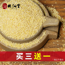 买3送1斤 东北黄小米粥米 杂粮粮食新米 五谷粗粮小黄米500g粗粮