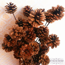 插花配件装 饰花艺拍照道具拍摄背景 包邮 天然干花插杆松果1支 满50