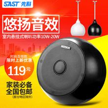 1吊球音响悬挂式吊杆吸顶天花喇叭背景音乐吊顶音箱 先科 SAST