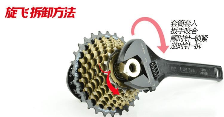 Pignon de vélo CAMPAGNOLO - Ref 2379004 Image 12