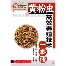 黄粉虫病害防治书 黄粉虫饲料配方书籍 黄粉虫科学养殖 农村书屋系列 黄粉虫养殖技术教程书籍 黄粉虫高效养殖技术一本通 正版全新