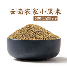 小米地 云南特产高原黑小米 农家新鲜自产粮食小米杂粮米500g
