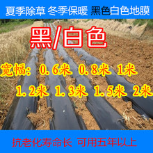 黑色地膜1米1.5米2米宽除草专用黑地膜 全新料加厚农用塑料黑薄膜