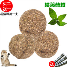 猫薄荷球猫草球猫零食洁齿磨牙玩具猫咪用品买二送一送猫博荷一支