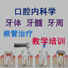 口内 口腔电子书 教学 培训视频加书籍 根管 牙体牙髓牙周黏膜