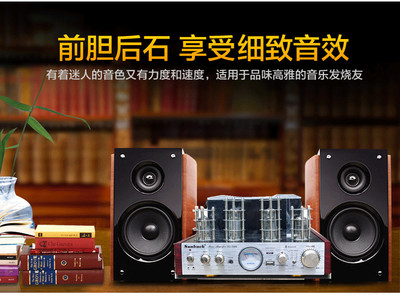 hifi音箱功放