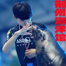 限非荆门证件 荆门小梅沙海馆门票成人票儿童门票特惠票