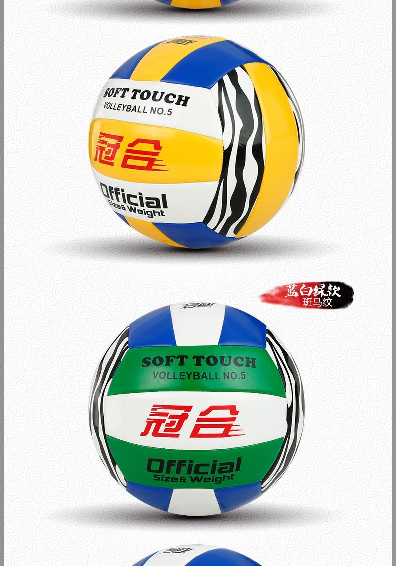 Ballon de volley-ball - Ref 2012326 Image 15
