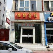 永登枝阳宾馆豪华标准间