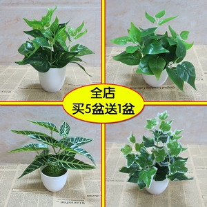 仿真绿植假植物室内外装饰塑料小盆栽绿萝叶子仿真花草植物小摆件