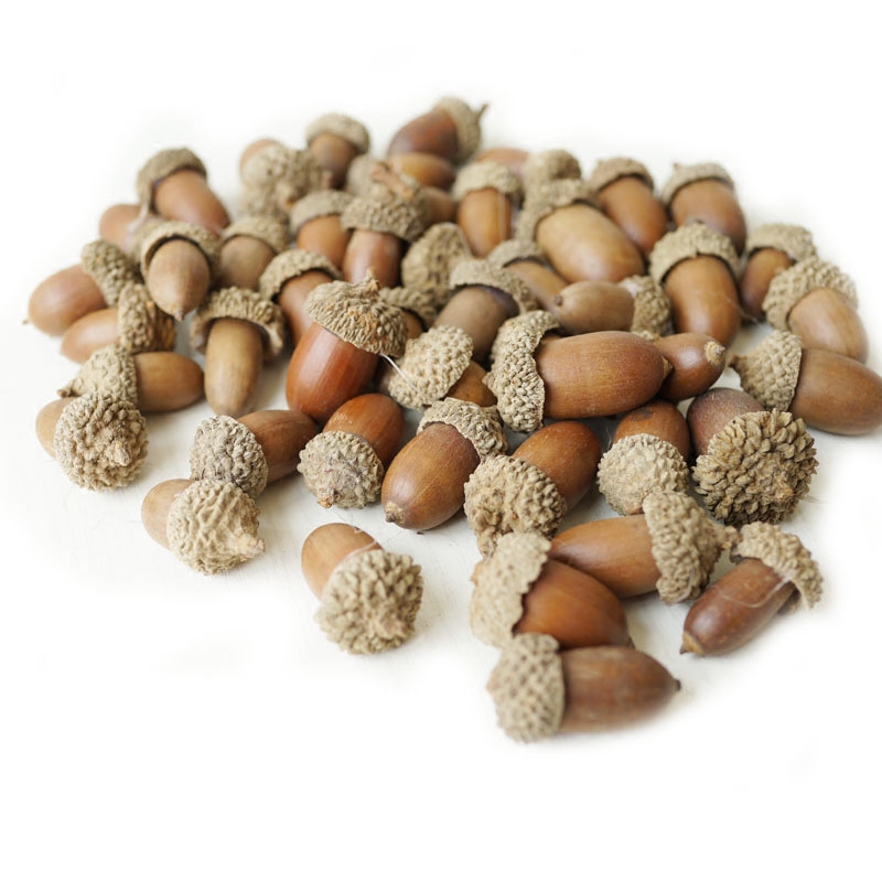 lmdecˮ������15sg15