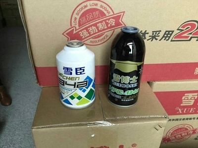 雪博士汽车空调制冷剂 环保雪种毛重300g 制冷制 134A
