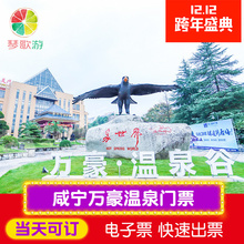 万豪温泉谷门票 温泉谷酒店套票 立减60元 咸宁万豪温泉门票