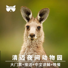 懒猫旅行清迈夜间动物园景点门票含缆车晚餐接送泰国