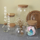 贝壳DIY沙漠木塞插花瓶 许愿瓶幸运星星灯瓶子透明玻璃储物星云装