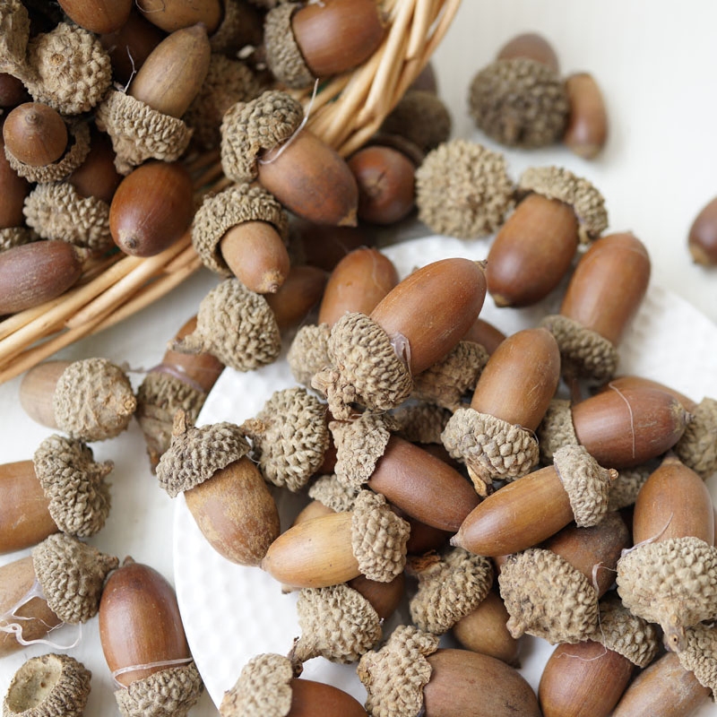 lmdecˮ������15sg15