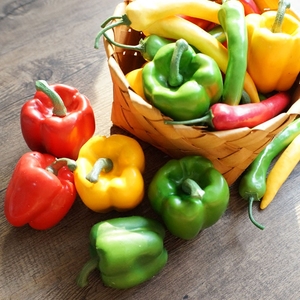 Lmdec高仿真蔬菜水果假彩椒菜椒灯笼椒辣椒模型摆设道具装饰品